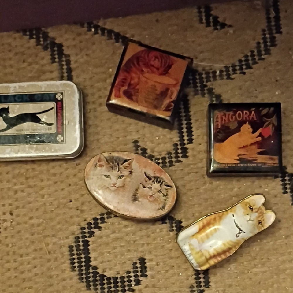 Vintage Cat-Themed Tin And Plastic Pill Holders